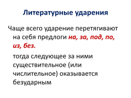 Современный русский литературный язык: нормы, формы и стили, слайд 26