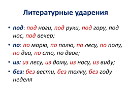 Современный русский литературный язык: нормы, формы и стили, слайд 28