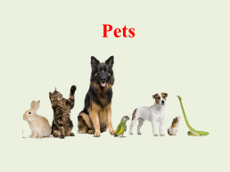 Pets, слайд 1