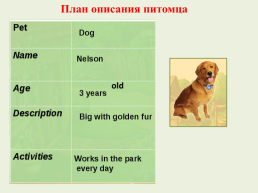 Pets, слайд 5