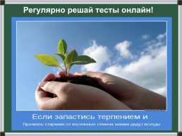 Активные методы эффективной подготовки обучающихся к ОГЭ по русскому языку, слайд 42