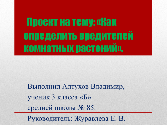 Как определить вредителей комнатных растений