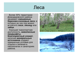 Домодедовская земля, слайд 8