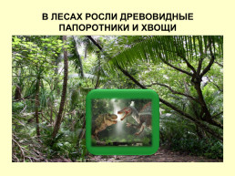 Динозавры Амурской области, слайд 10
