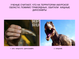 Динозавры Амурской области, слайд 18