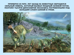Динозавры Амурской области, слайд 19