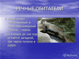 Прибайкальский национальный парк, слайд 12