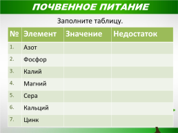 Жизнь растений, слайд 11