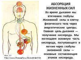 Истоки творения - Экология человека Часть 2, слайд 25