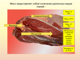 Урок «Полуфабрикаты из мяса», слайд 4