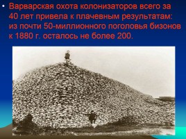 Урок географии в 7 классе «Природные зоны Северной Америки», слайд 23