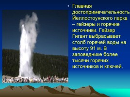 Урок географии в 7 классе «Природные зоны Северной Америки», слайд 31