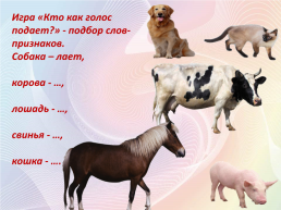 Домашние животные, слайд 11