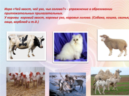 Домашние животные, слайд 15