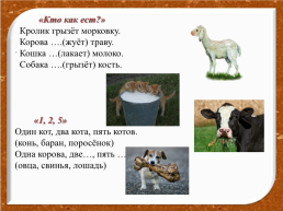 Домашние животные, слайд 16