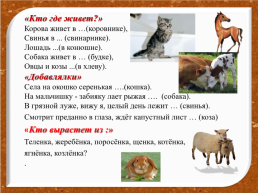 Домашние животные, слайд 17