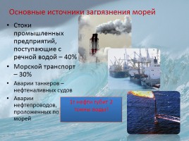 Моря омывающие берега России, слайд 19