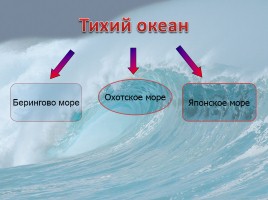 Моря омывающие берега России, слайд 7