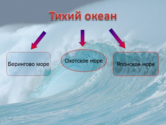 Пользуясь рисунком 139 назовите моря омывающие берега нашей страны