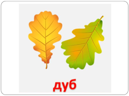Логопедическое занятие по лексической теме «Осень», слайд 14
