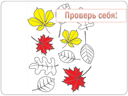 Логопедическое занятие по лексической теме «Осень», слайд 24