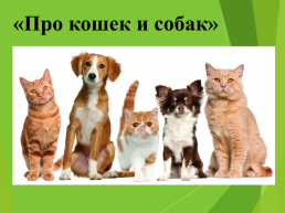 Про кошек и собак, слайд 1