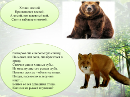 Дикие животные наших лесов, слайд 3