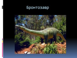 Древние пресмыкающиеся Динозавры, слайд 3
