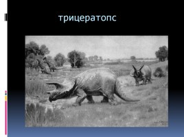 Древние пресмыкающиеся Динозавры, слайд 7