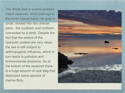 Ecological problems of the White Sea, слайд 2