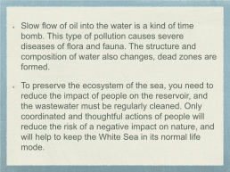 Ecological problems of the White Sea, слайд 6