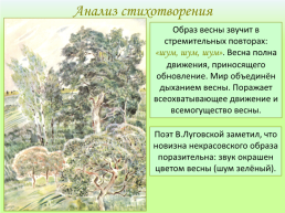 Николай Алексеевич Некрасов «Зелёный шум», слайд 10
