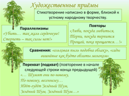 Николай Алексеевич Некрасов «Зелёный шум», слайд 15