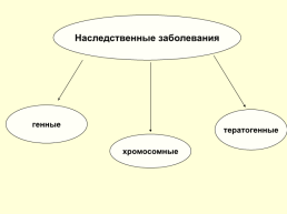 Тема урока «Наследственные болезни человека», слайд 6