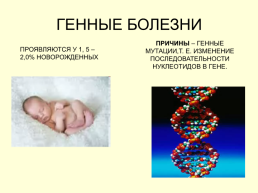 Тема урока «Наследственные болезни человека», слайд 7