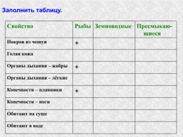 Окружающий мир 3 класс программа «Планета знаний», слайд 12