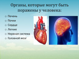 Химия и элементы в организме человека, слайд 25