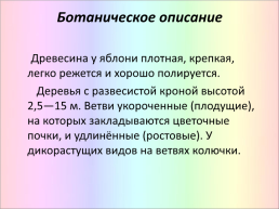 Яблоня, слайд 5