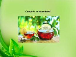 Как правильно заваривать зелёный чай?, слайд 11