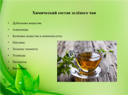 Как правильно заваривать зелёный чай?, слайд 4