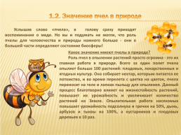 Проект по окружающему миру «Нужны ли пчелы человеку», слайд 11