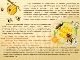 Проект по окружающему миру «Нужны ли пчелы человеку», слайд 12