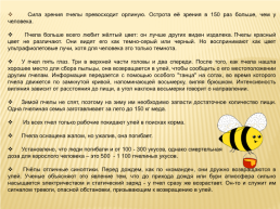 Проект по окружающему миру «Нужны ли пчелы человеку», слайд 14