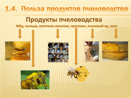 Проект по окружающему миру «Нужны ли пчелы человеку», слайд 18