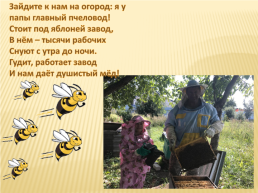 Проект по окружающему миру «Нужны ли пчелы человеку», слайд 20