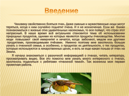 Проект по окружающему миру «Нужны ли пчелы человеку», слайд 6