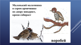 Зимующие птицы нашего края, слайд 11