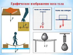 Вес тела графическое изображение