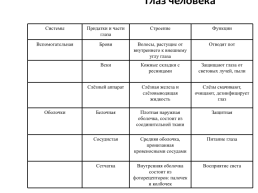 Строение глаза, слайд 22