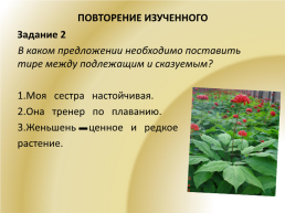 Русский язык, слайд 6